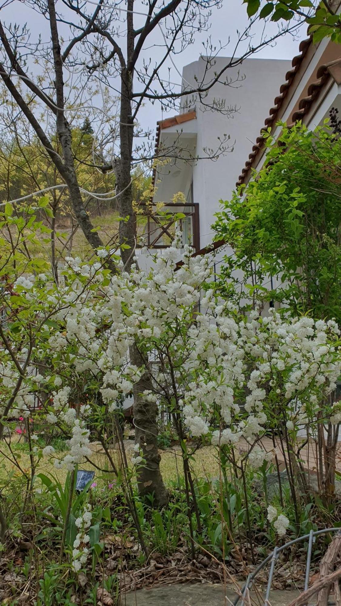 Saint Paul De Vence Damyang Quarto foto